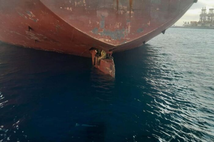 Desafiando el peligro: encuentran polizones en el timon de un barco en Canarias : Noticias de