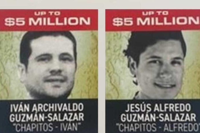 Los Chapitos: la DEA ofrece millones de dolares por la captura de dos de los hijos del Chapo : Noticias de