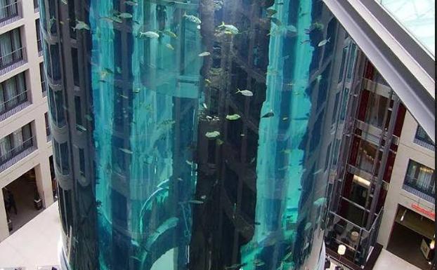 Estalla un acuario de grandes dimensiones y 1.500 peces en el interior de un hotel en Berlin : Internacional de