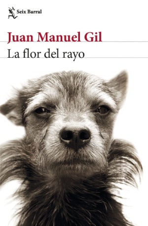 La flor del rayo – Juan Manuel Gil: Autor, editorial, sinopsis y toda la informacion : Entretenimiento de España
