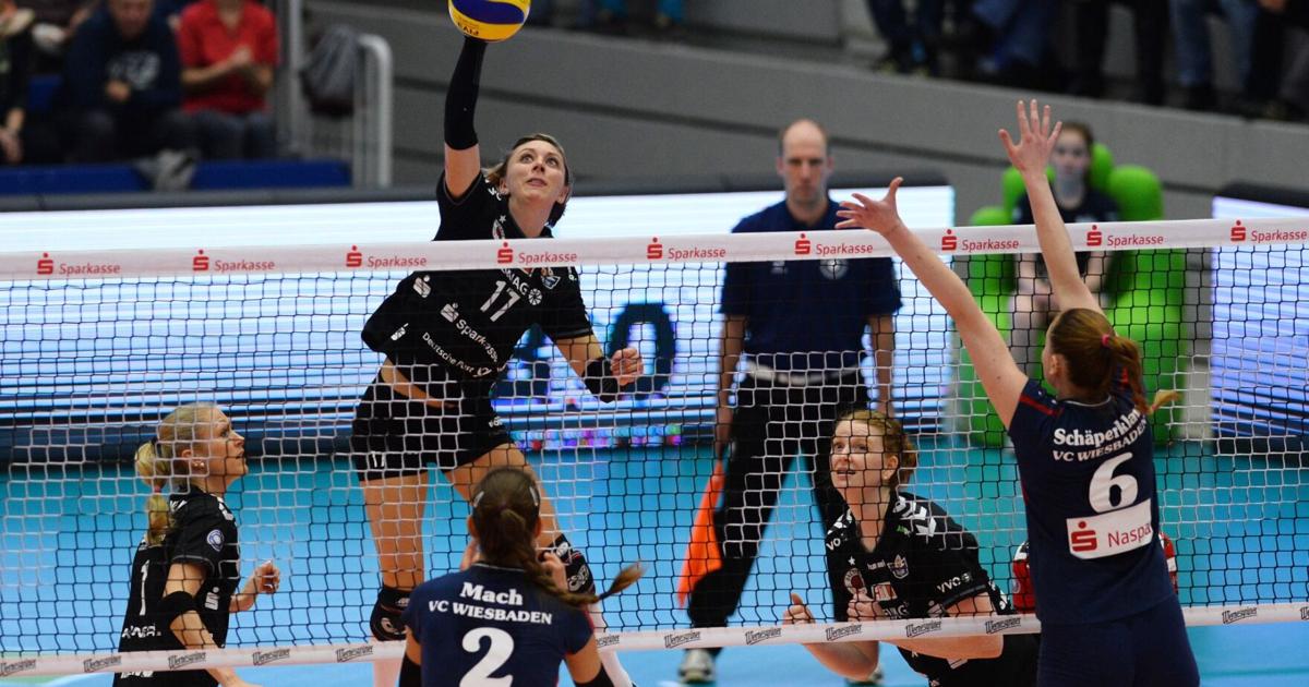 Las Cangrejeras de Santurce anuncian el regreso de Gina Mancuso : Deportes de Puerto Rico