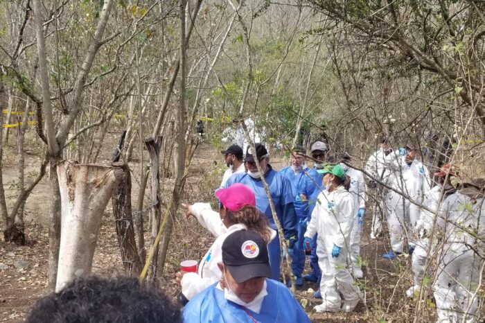 Hallan seis cuerpos en fosas clandestinas del centro de Mexico : Noticias de