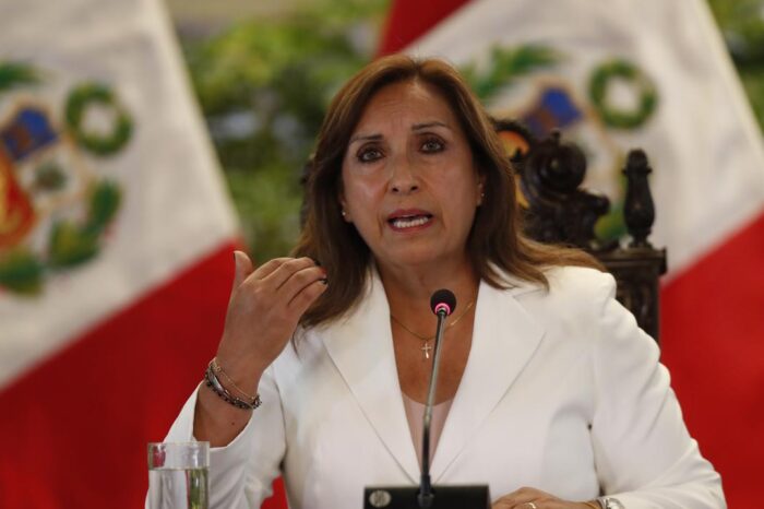 Boluarte pide adelantar elecciones generales en Peru para aplacar mortales protestas : Noticias de