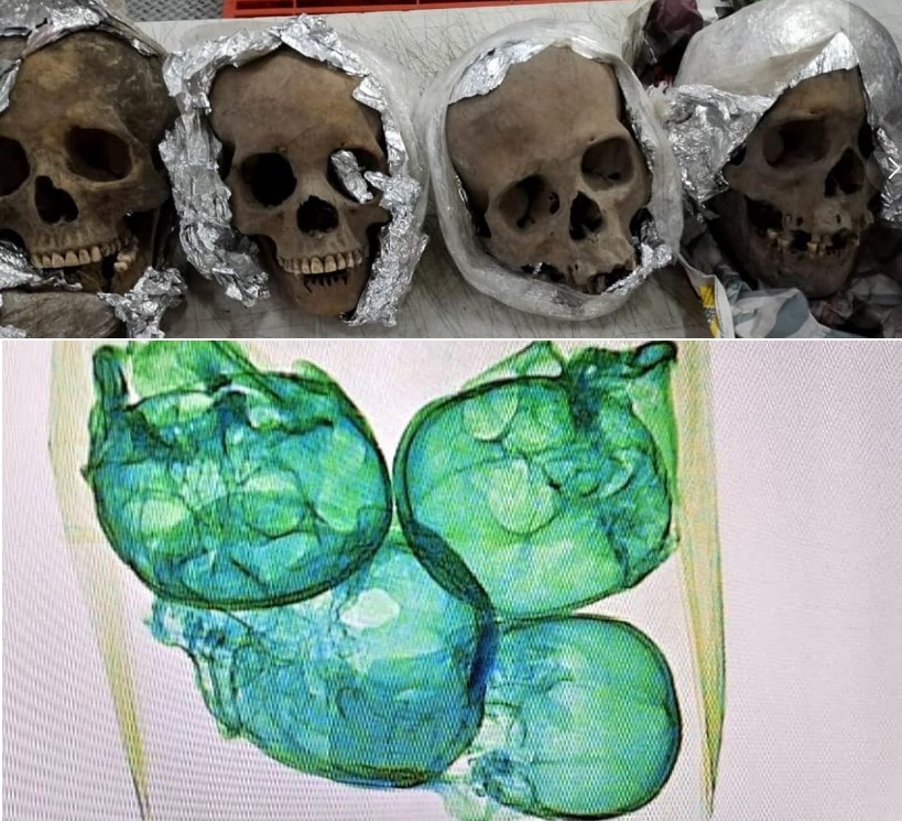 Hallados seis cadaveres en unas fosas clandestinas con signos de tortura en Mexico : Internacional de