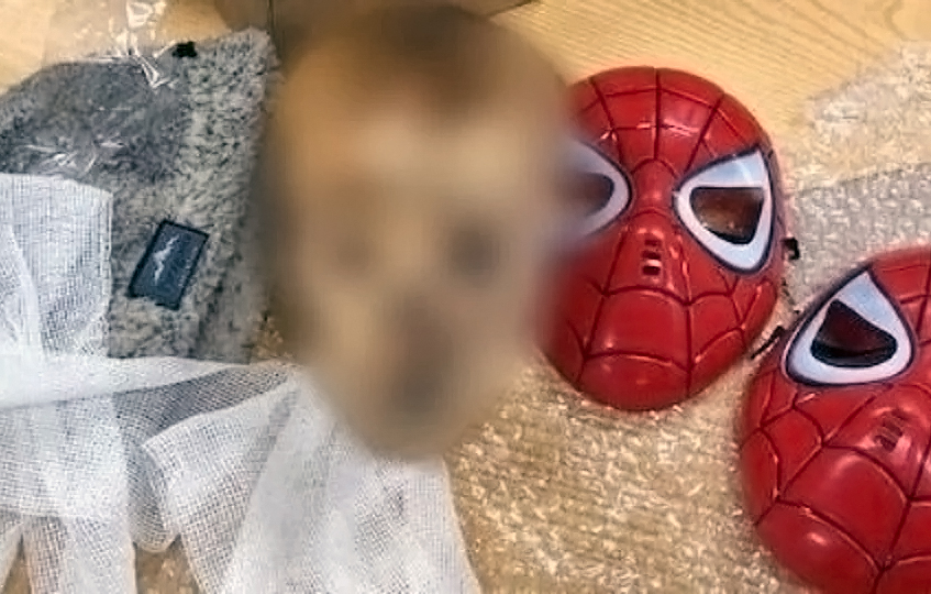 Los secuestros mas raros de la Aduana incluyen el craneo de un niño y calculos que cotizan como oro : Noticias de Argentina