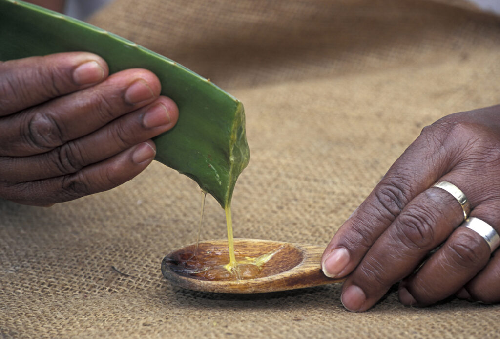 Cuales son los alimentos para desintoxicar el organismo despues de las fiestas : Entretenimiento de Colombia