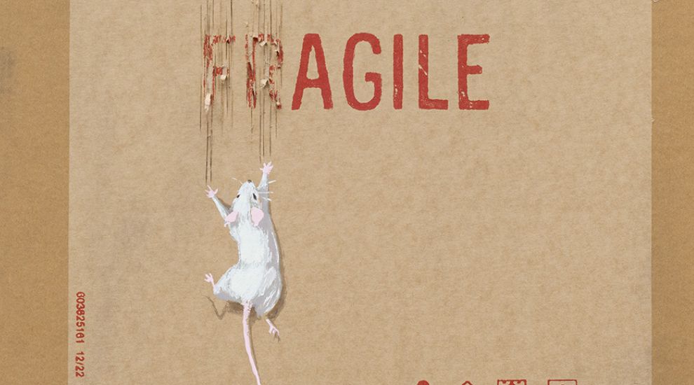 Putin se carga al “carnicero de Siria” como jefe de sus tropas en Ucrania tras la masacre en Donetsk y pese al avance en Soledar : Internacional de