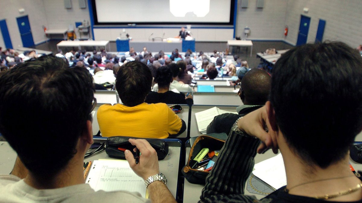 Las 20 prestigiosas universidades que fallaron en la preparacion contra la crisis climatica, segun estudio : Noticias de