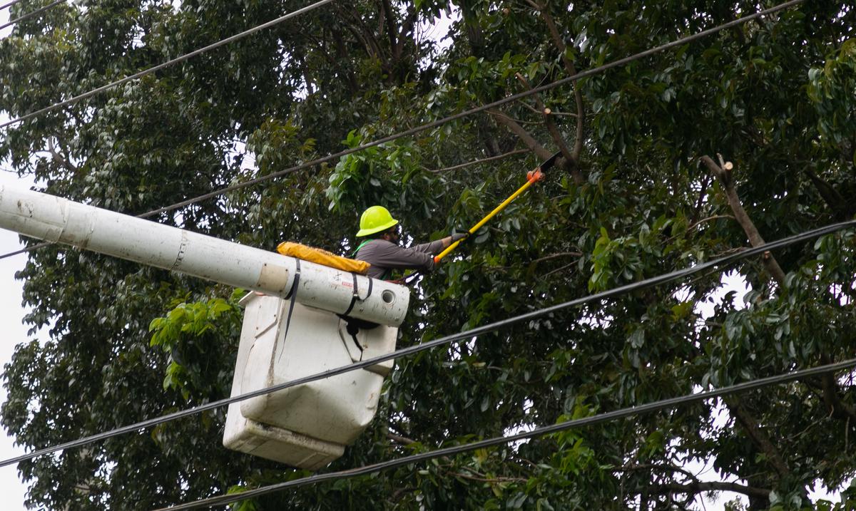 Oficina del Contralor revela deficiencias en las operaciones fiscales del Negociado de Energia : Noticias de Puerto Rico