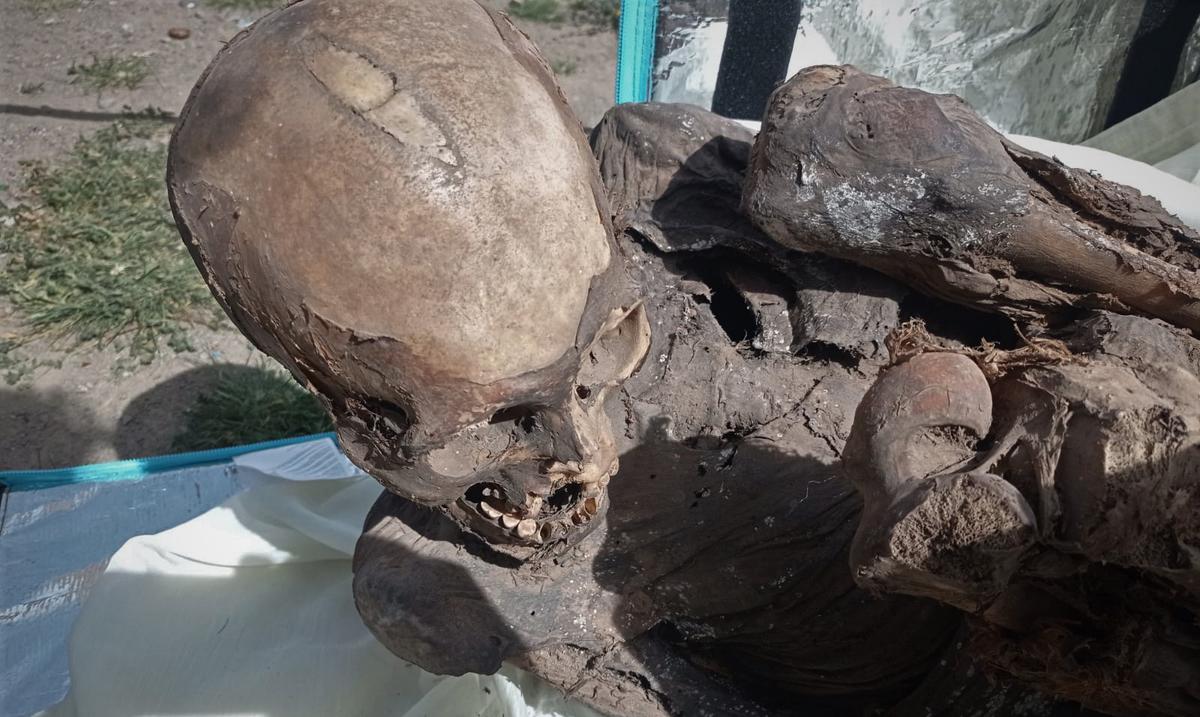 Hallan una momia prehispanica en la mochila de un repartidor a domicilio en Peru : Noticias de