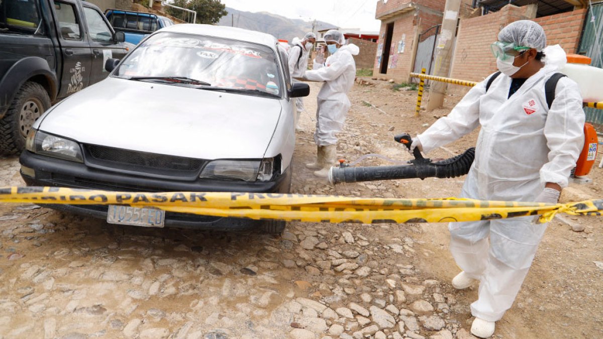 Crece el temor en America Latina por el avance de la gripe aviar : Noticias de