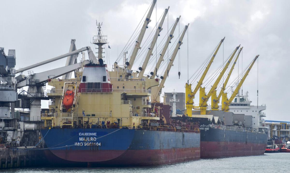 Surgen mas demoras en distribucion internacional de granos por guerra de Rusia en Ucrania : Noticias de