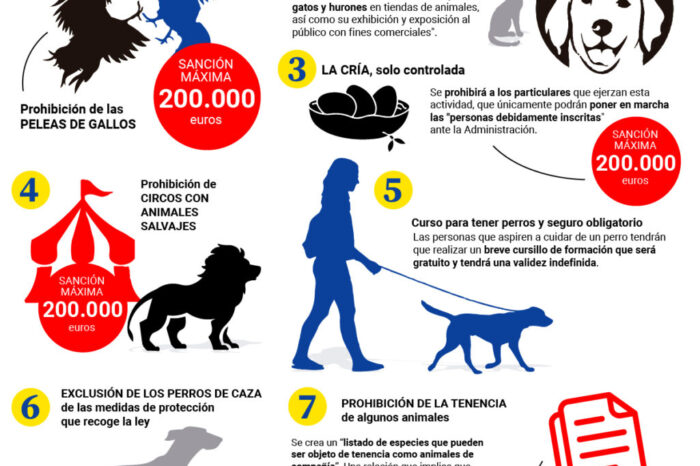 Siete claves de la ley de bienestar animal que acaba de aprobar el Congreso : Noticias de España