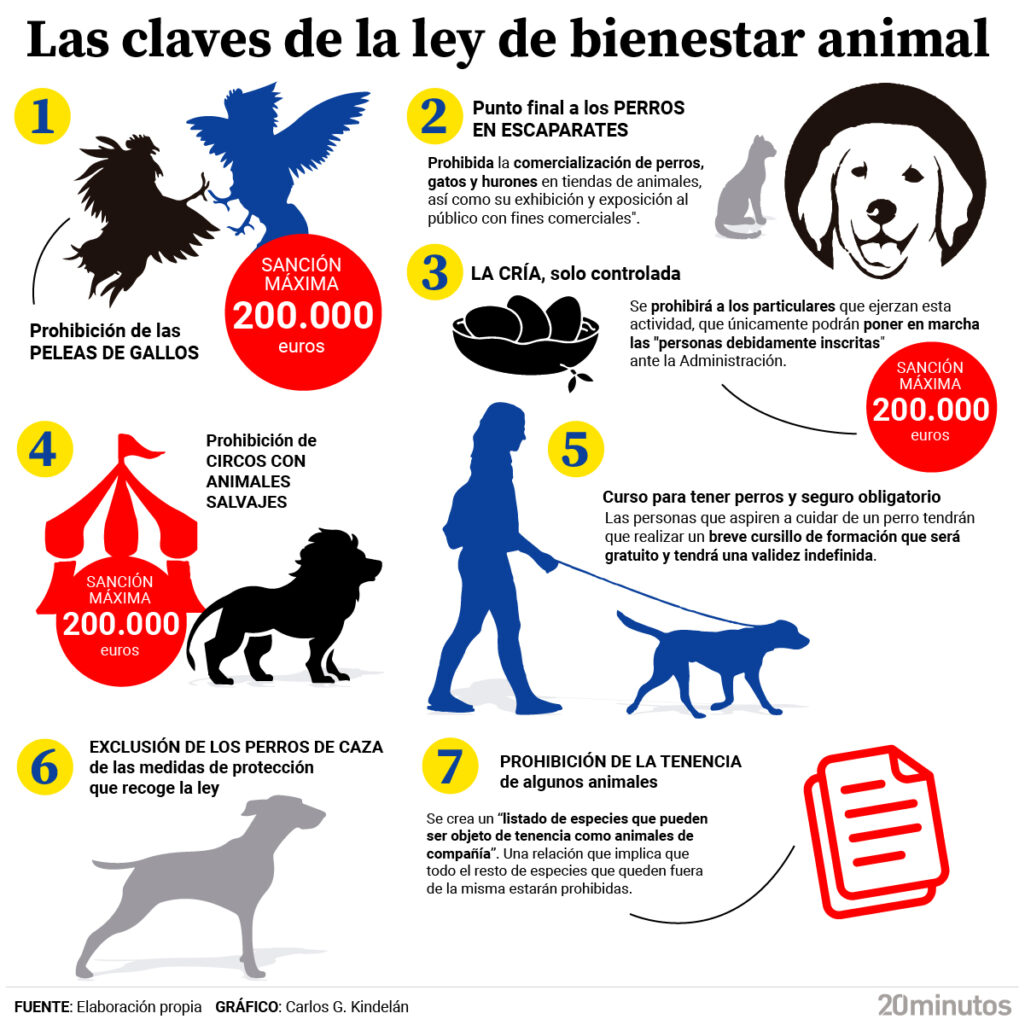Siete claves de la ley de bienestar animal que acaba de aprobar el Congreso : Noticias de España