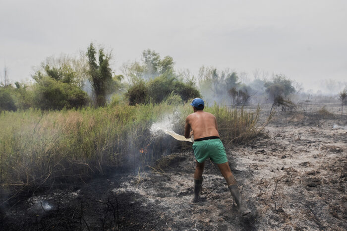 Delta en llamas: hay dos focos activos en Gualeguay, frente a Villa Constitucion : Noticias de Argentina