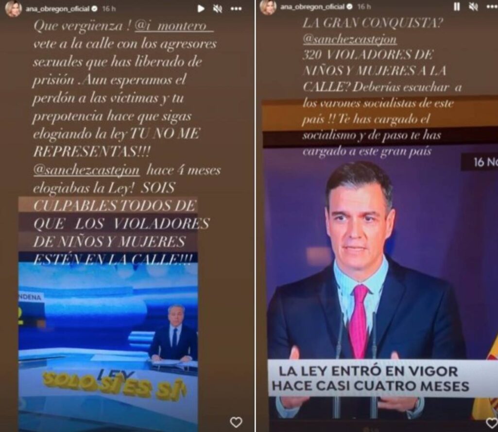 Ana Obregon carga duramente contra Pedro Sanchez e Irene Montero: “Sois culpables de que los violadores esten en la calle” : Entretenimiento de España