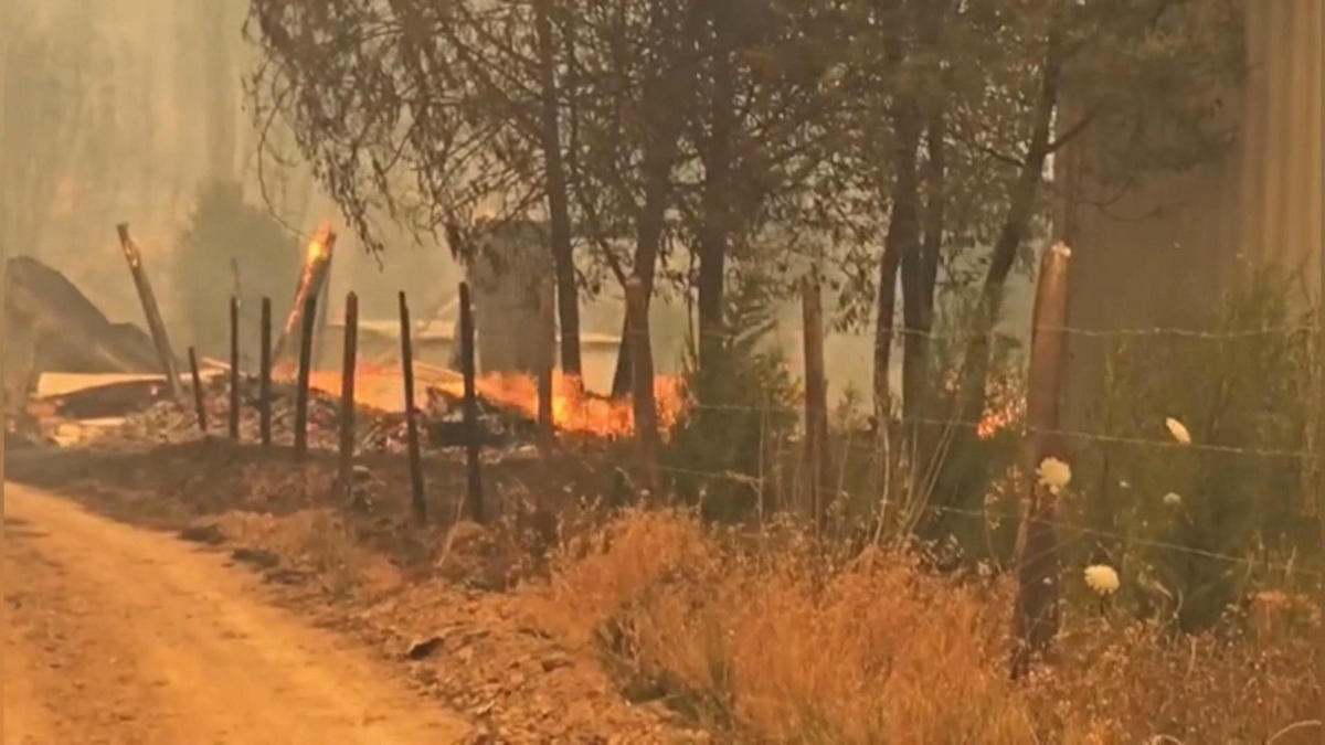 Virulentos incendios en Chile provocan la muerte de 13 personas : Noticias de