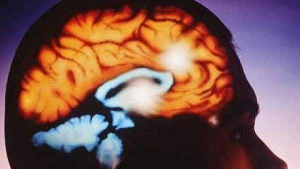 Encuentran cinco cadaveres en diferentes habitaciones de una vivienda de Florida : Internacional de