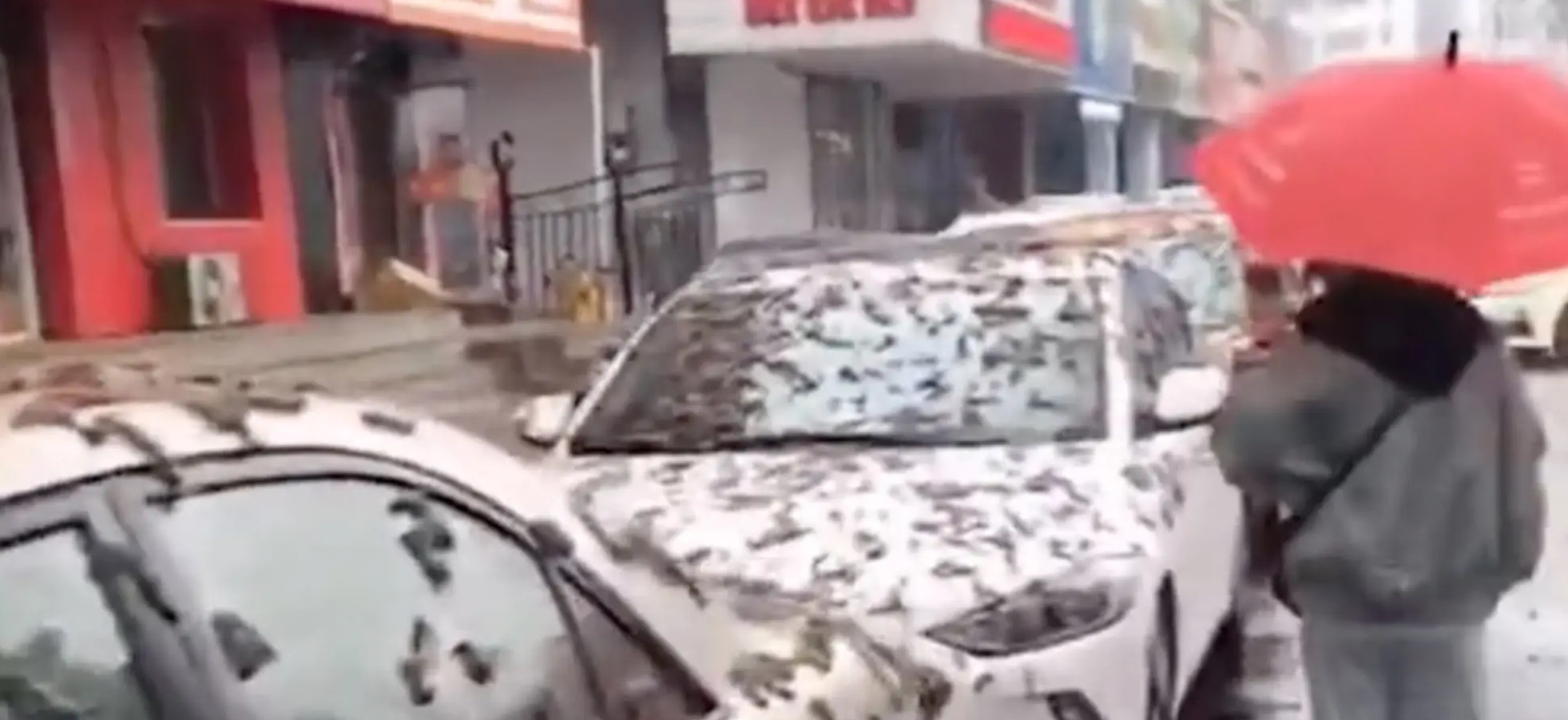 Encuentran en China una variedad de arroz con 1.300 años de antigüedad : Internacional de