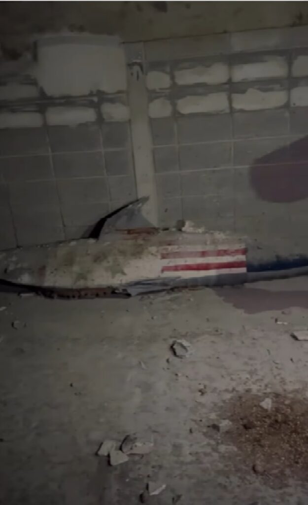 ‘Tiburon’ encontrado en estadio Metropolitano de Barranquilla; de quien es este. : Deportes de Colombia