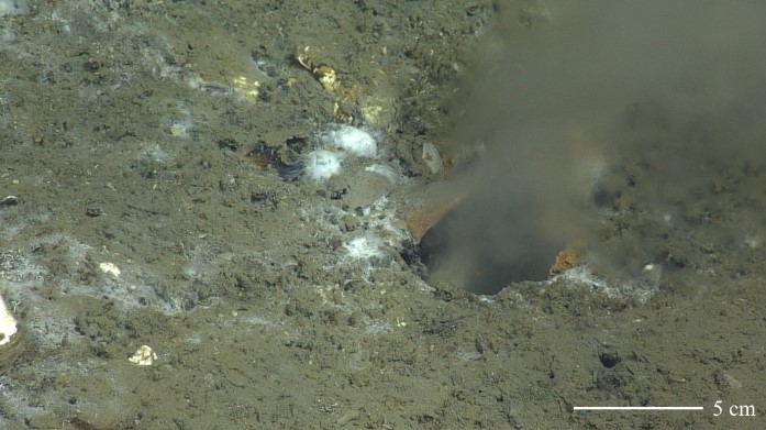 Un terremoto de magnitud 5,8 sacude de nuevo la costa de Ecuador : Internacional de