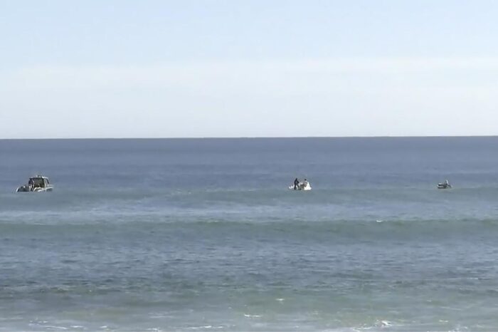Encuentran los restos del traje y pedazos de la tabla de surfista atacado por tiburon en Australia : Noticias de