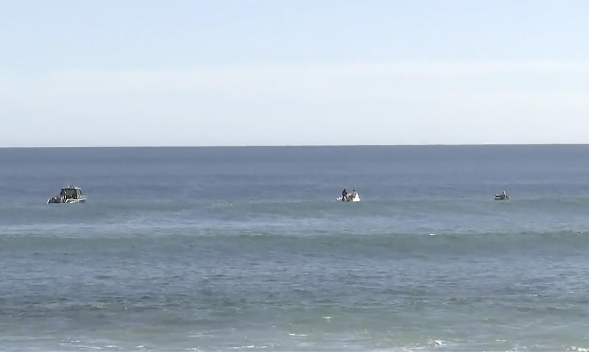 Encuentran los restos del traje y pedazos de la tabla de surfista atacado por tiburon en Australia : Noticias de