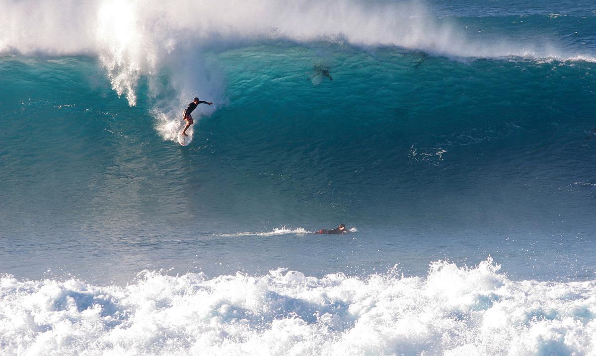 Inusual ataque de tiburon mata a surfista en Australia : Noticias de