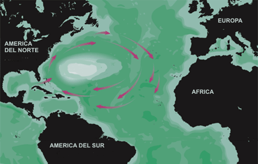 ‘Alerta sargazo’: las hoteleras españolas en Mexico temen por los millones de estas algas que estan tomando las playas del Caribe : Internacional de