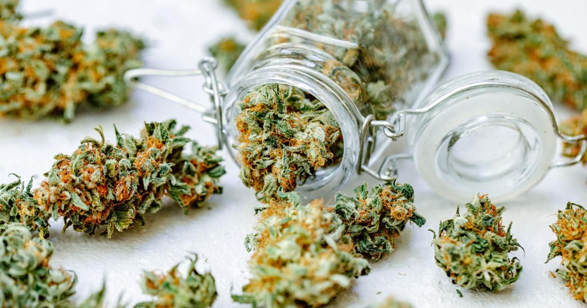 Comite de la NCAA recomienda eliminar la marihuana de lista de drogas prohibidas para los atletas : Deportes de Puerto Rico