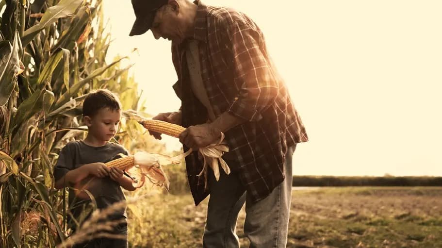 Desde Zarate: Bayer revoluciona la agricultura sustentable con la implementacion del “programa PRO Carbono” – este medio : Entretenimiento de Argentina