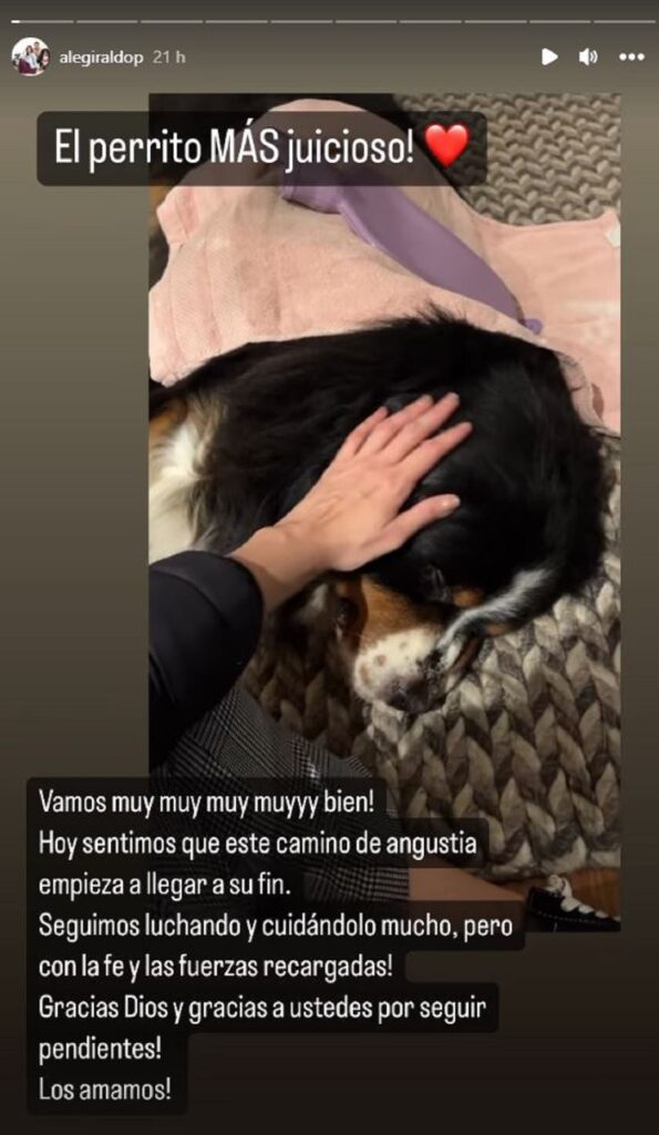 como esta la salud de su perro : Entretenimiento de Colombia