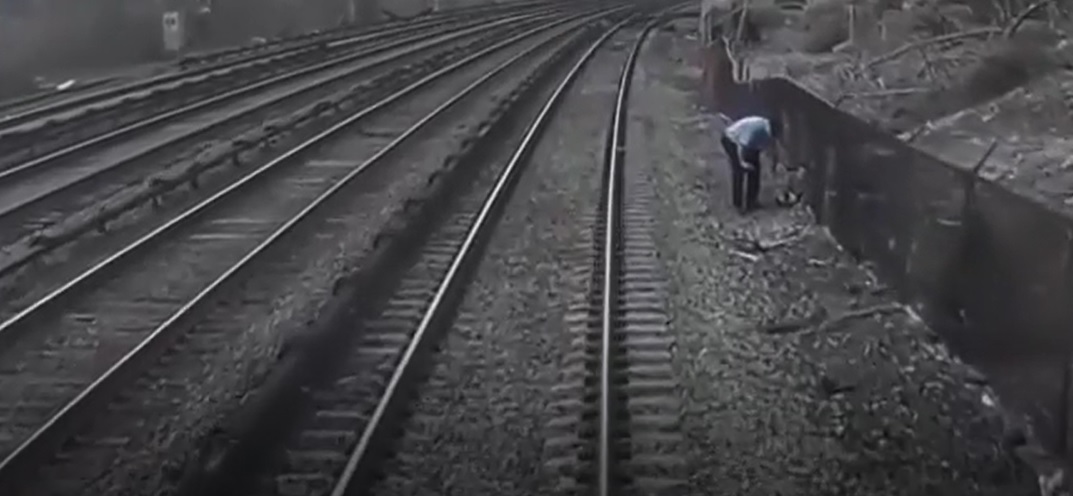 Tragedia ferroviaria en India: que ha podido provocar el brutal choque de trenes que deja ya mas de 200 muertos y cientos de heridos : Internacional de