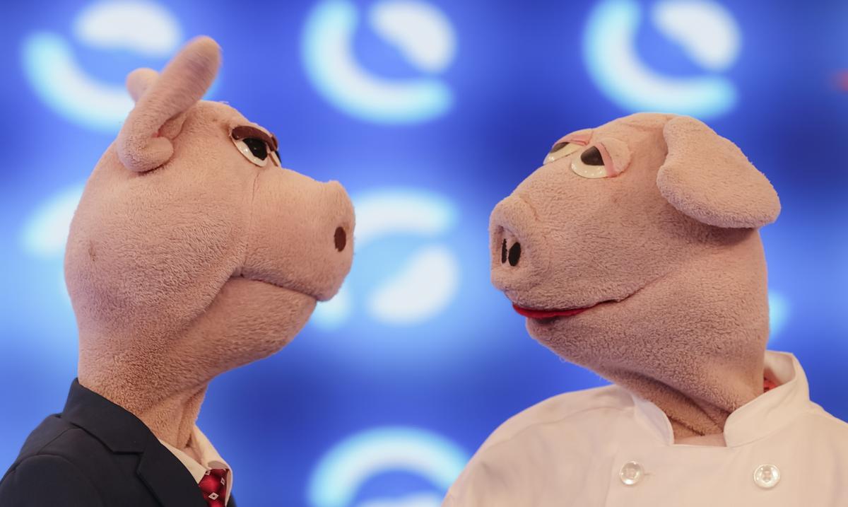 Morci y Cuajo, de “Puerto Rico gana”, cuentan su historia a El Nuevo Dia : Entretenimiento de Puerto Rico