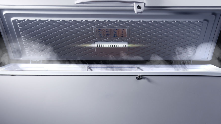 Lo acusan de guardar el cuerpo de su pareja en un congelador y cobrar su pension : Noticias de