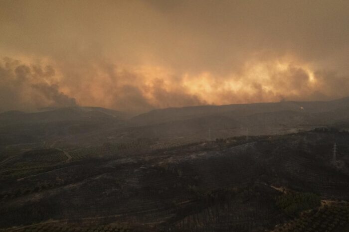 Bomberos y aviones europeos asisten contra incendios forestales que han matado a 20 personas en Grecia : Noticias de