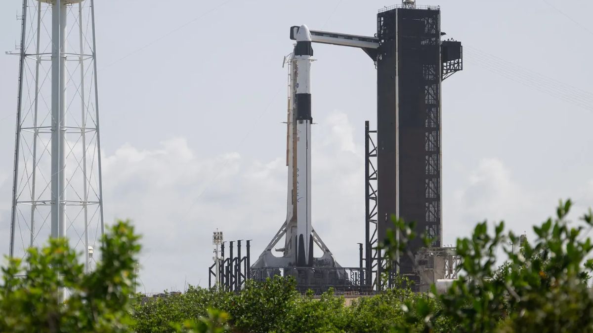 EEUU demanda a SpaceX por discriminar a asilados y refugiados en sus contrataciones : Internacional de