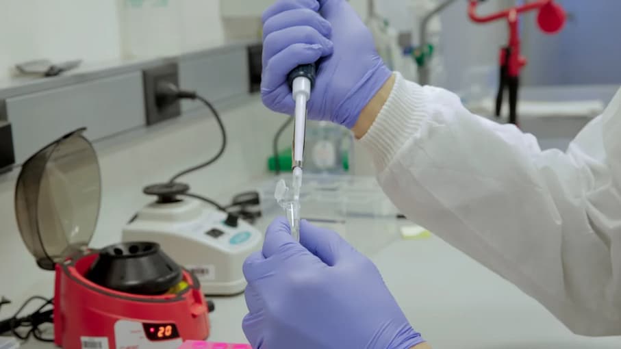 “¿De donde venimos?”: Un banco de genomas para descifrar el ADN argentino – este medio : Entretenimiento de Argentina