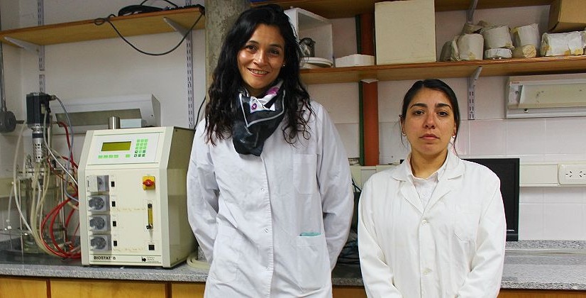 Desarrollan un producto que elimina rastros de pesticidas en agua y alimentos : Noticias de Argentina