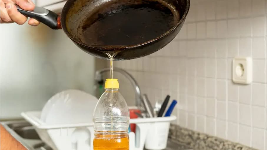 Destacan los multiples beneficios ambientales y economicos de reciclar el aceite vegetal usado – este medio : Entretenimiento de Argentina