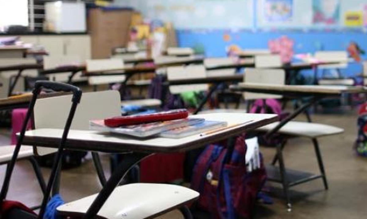 Organizaciones magisteriales se oponen a que existan armerias cerca de escuelas: lo consideran una “accion malsana y criminal” : Noticias de Puerto Rico