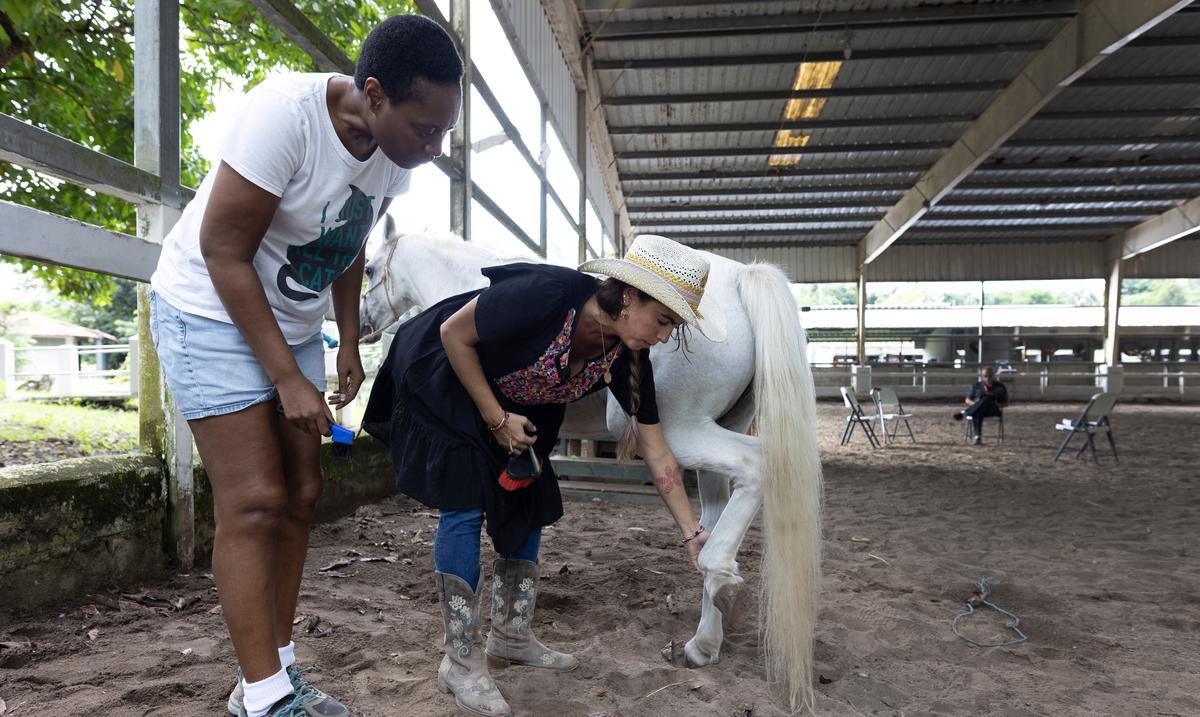En el limbo los servicios de equinoterapia a la espera del DRNA y el Municipio de Bayamon : Noticias de Puerto Rico