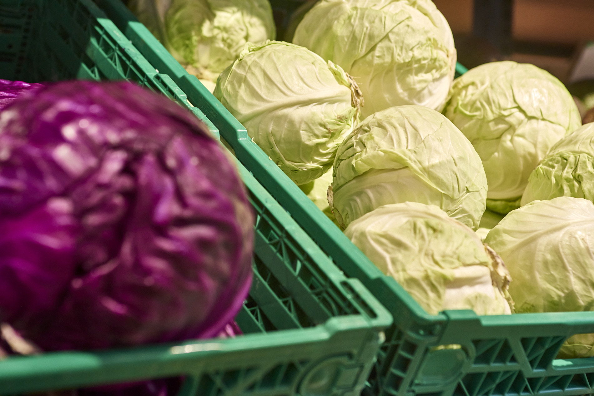 Una alimentacion saludable mejora la calidad de vida: conoce las claves para una cesta de la compra variada, equilibrada y accesible : Trending de Colombia