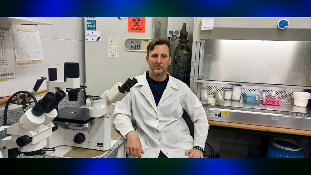 Desarrollan una herramienta para vigilar la evolucion de un virus que afecta a perros y gatos : Noticias de Argentina