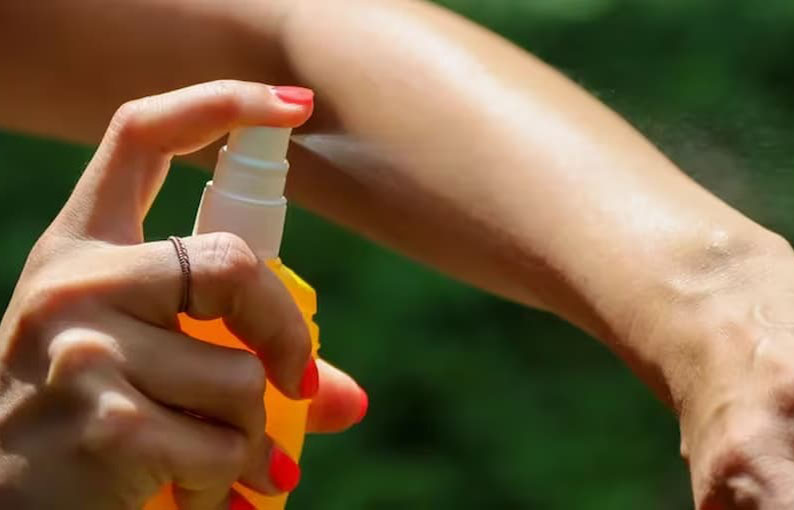 Por que hay una invasion de mosquitos y cuales son los metodos repelentes mas efectivos – este medio : Entretenimiento de Argentina