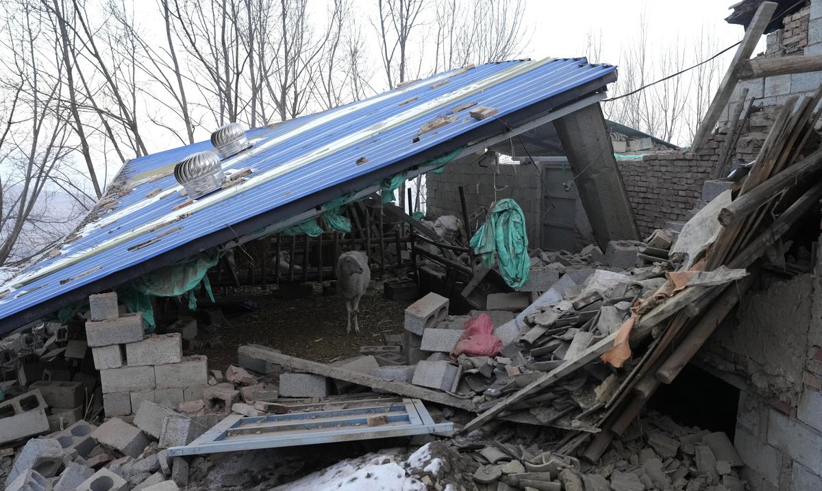 Aumenta a 149 cifra de fallecidos por terremoto de magnitud 6.2 en China : Noticias de