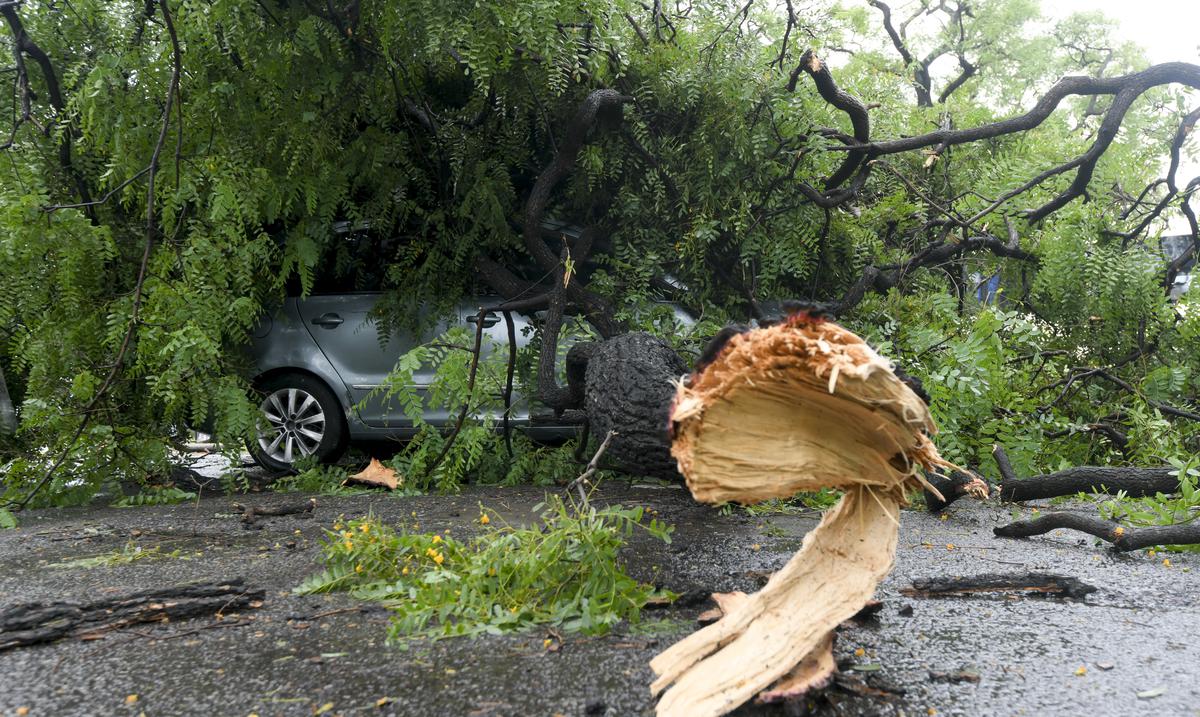 Un fuerte temporal provoca 14 muertes y severos destrozos en Argentina : Noticias de
