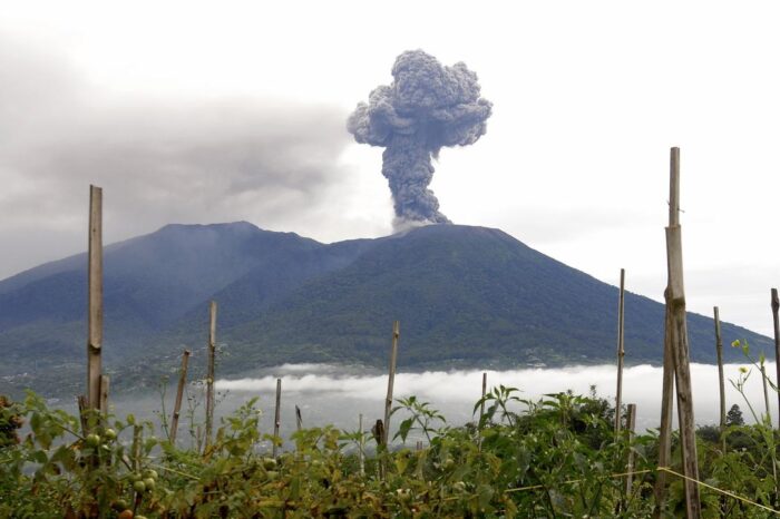 Mueren 11 alpinistas y 12 estan desaparecidos tras la erupcion de un volcan en Indonesia : Noticias de