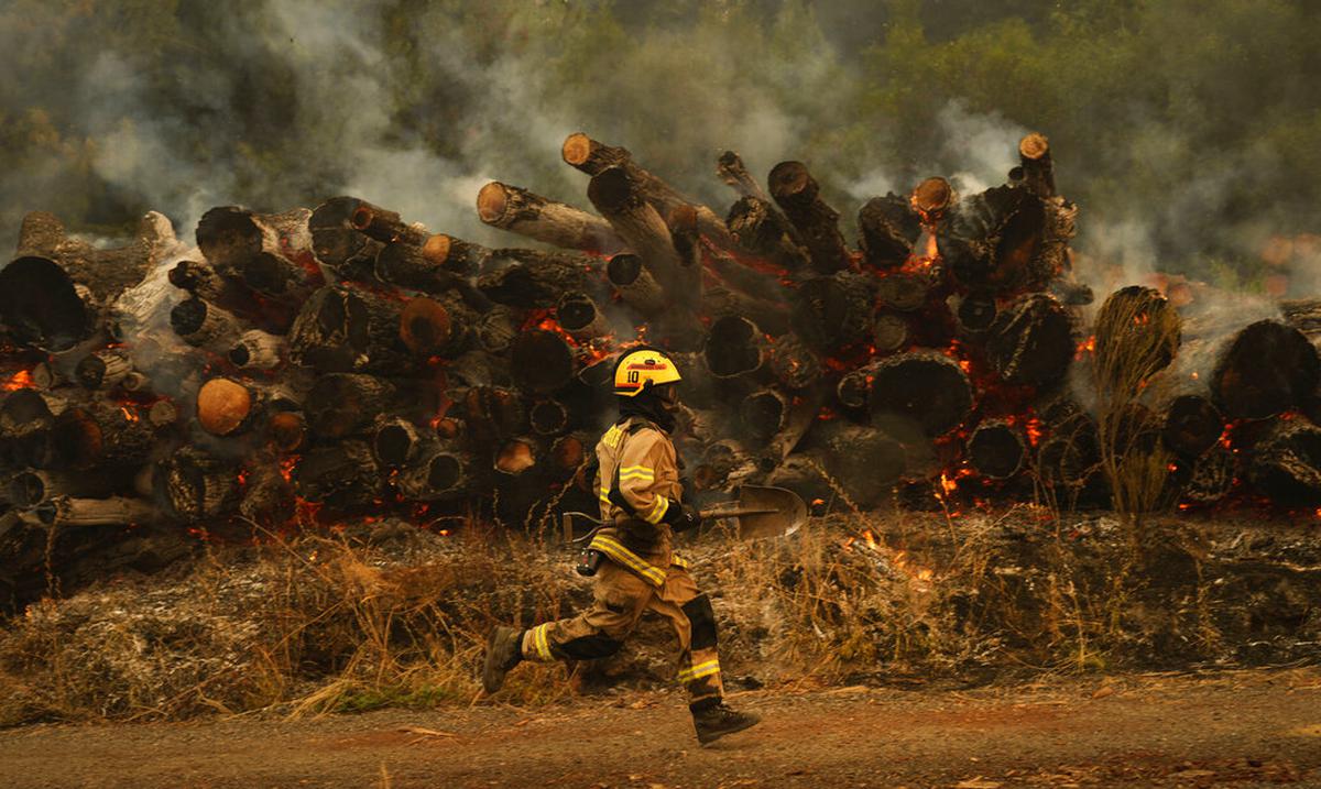 Incendios amenazan zonas pobladas en el centro de Chile : Noticias de