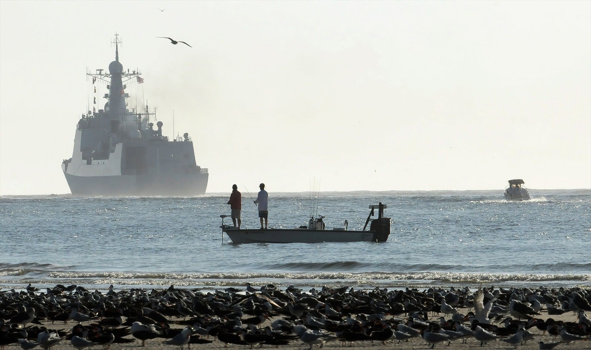 Cuando es el año nuevo chino 2024: este sera el animal que represente el proximo año : Internacional de